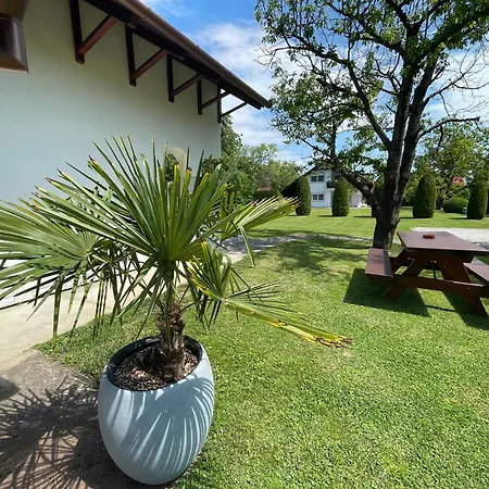 Frankie Ii. Balatongyörök